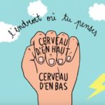 Comprendre pour mieux accompagner : Cerveau.... - séance 1/2