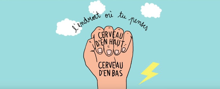 Comprendre pour mieux accompagner : Cerveau.... - séance 1/2