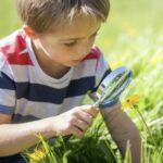 Eveil à la nature & sensibilisation à l'environnement-MIENE25- 1ère séance / 2